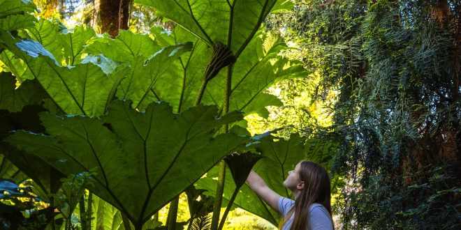 Pupils link Natural History GCSE with fossils and museums, new research finds