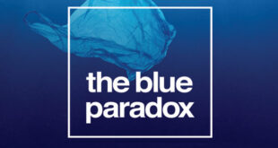 5 blue The Blue Paradox - An immersive experience on the ocean plastic crisis