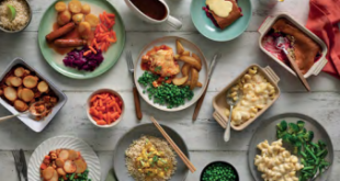 8 Nutrition in Education: Enhancing Learning Through Healthy Eating