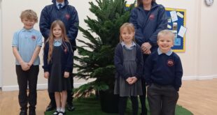 Christmas tree More than 50 schools across North Nottinghamshire receive donated Christmas trees