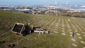 DJI 0060 Growing a Greener Future: LapSafe® Launches Tree-Planting