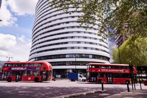 DLD College London Impressive GCSE Results at DLD College London