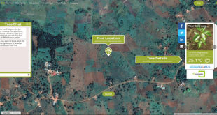 Ecomatcher screenshot with TG Escapes logo 01 TG Escapes Partner with EcoMatcher to Replenish Rain Forests on Behalf of UK Schools.