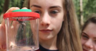 Grants for Schools New funding announced to ensure pupils don’t miss out on educational school trips