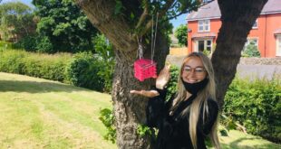 Pippa Cullen from Montgomery Academy School project creates a buzz across Fylde Coast
