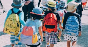 Screenshot 2024 01 17 121840 Where To Take Your Students And How To Ensure The Trip Is A Triumph