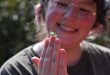 Young Darwin Scholarship opens for applications