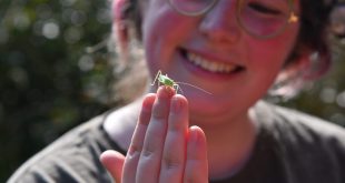 Young Darwin Scholarship 2026 copy Young Darwin Scholarship opens for applications