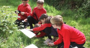 ep The Eden Project encourages UK schools to discover Paradise Pastures on school grounds