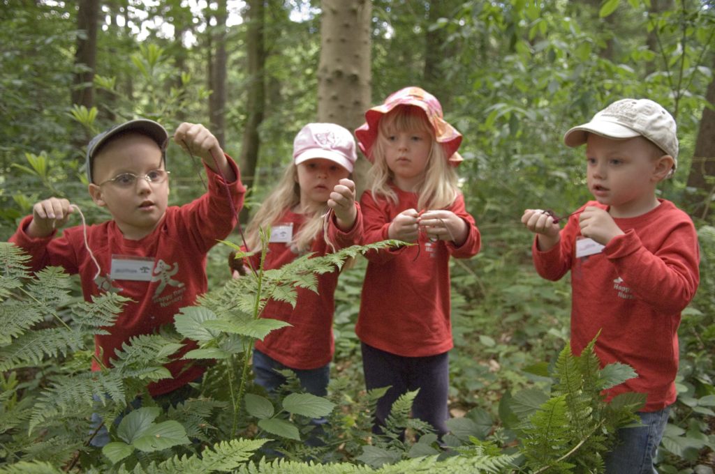 fc2 Woodland learning course for children to branch out