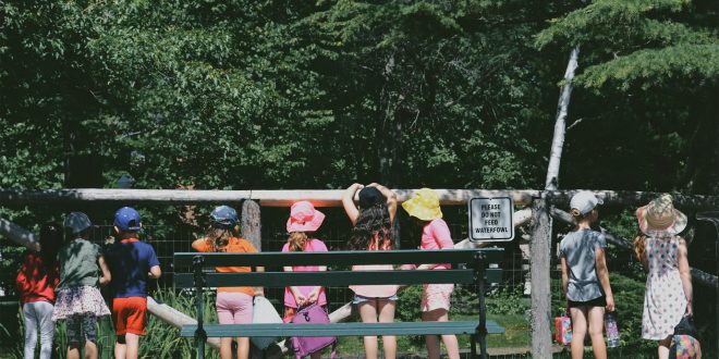 Summer Schools for Kids: Comparing Language Learning Options in London