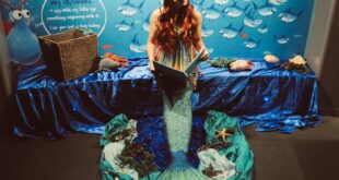 mermaid National Marine Aquarium introduces online lessons for school children