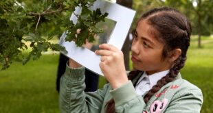 nhm Brand new Natural History Museum schools programme to create thousands of young urban nature champions