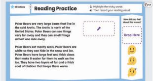 seesaw Unlock the Power of Pupil Engagement with Seesaw