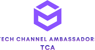 tca New not-for-profit company aims to help fill 100,000 IT jobs