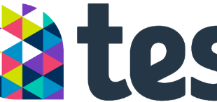 tes Promote and support the British international school sector say education leaders