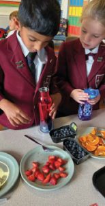 Beyond Themed Weeks - Teaching Sustainability Through Sequenced Science Learning