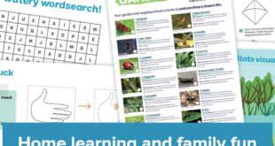 wwt New ‘wild’ home learning hub helps parents be fun science teachers